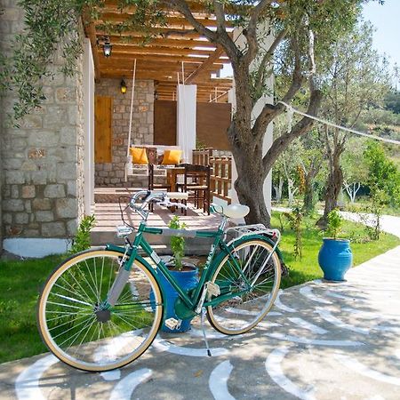 Villa To Stolidi Tis Psinthou à Psinthos Extérieur photo