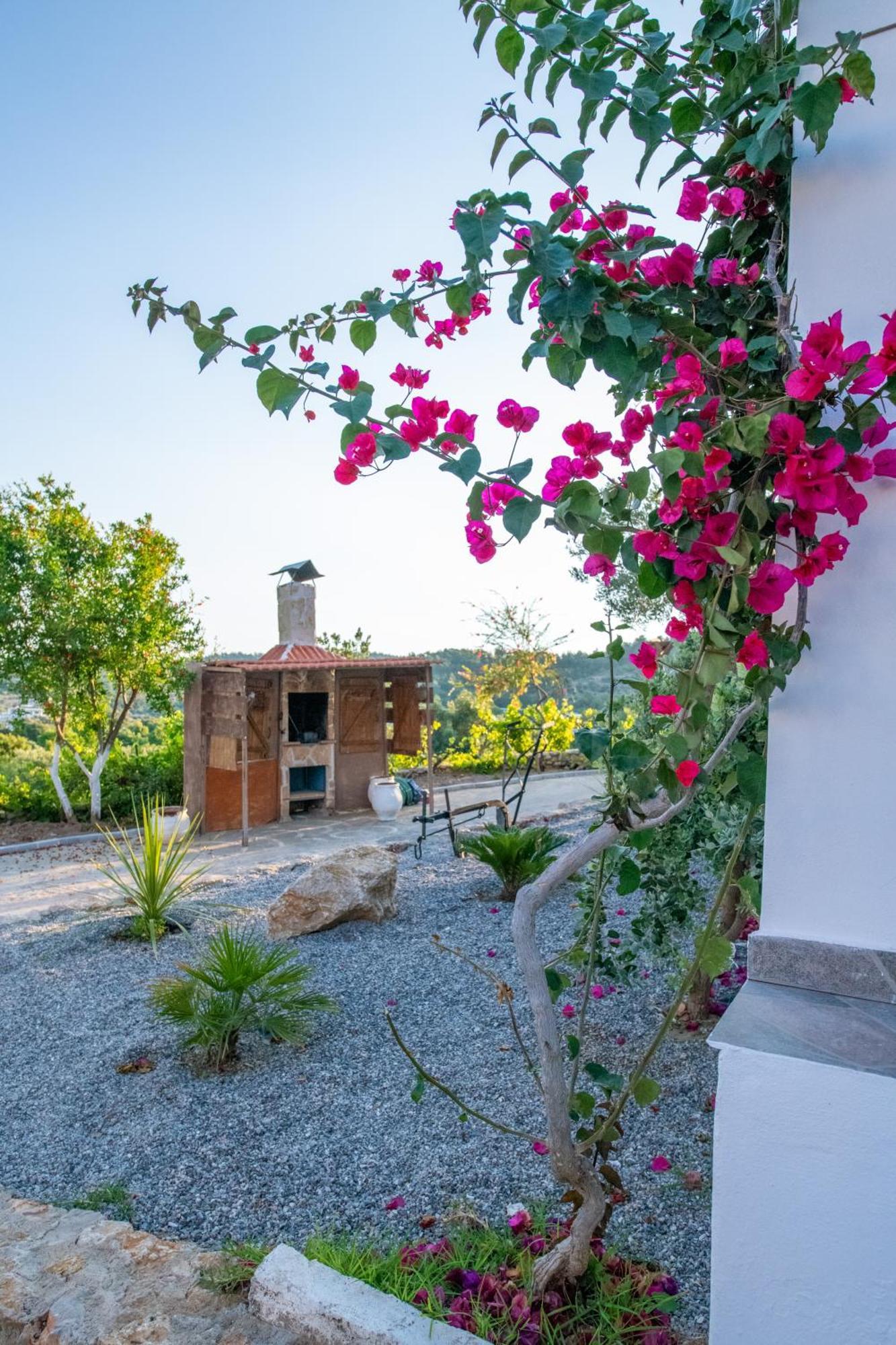 Villa To Stolidi Tis Psinthou à Psinthos Extérieur photo
