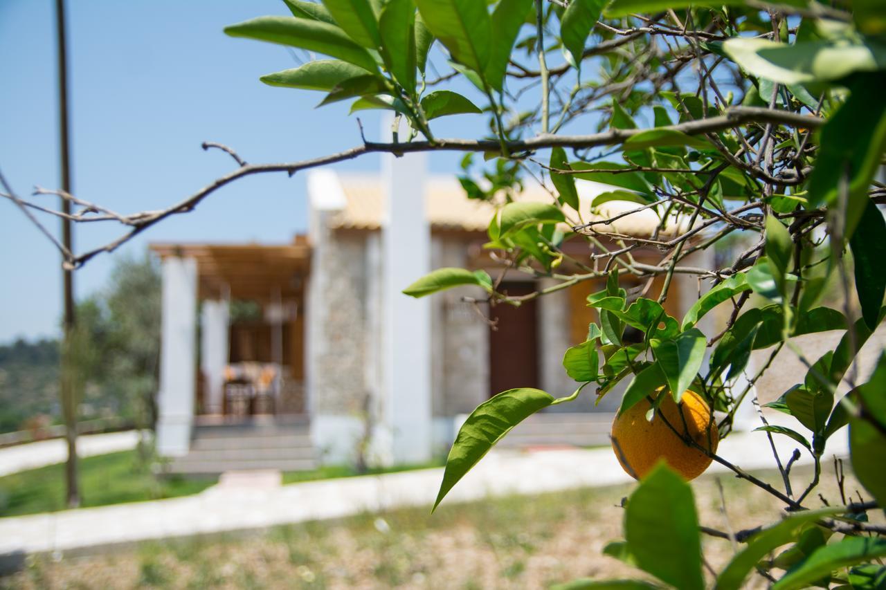 Villa To Stolidi Tis Psinthou à Psinthos Extérieur photo